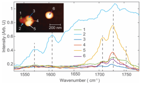 PFIR analysis of urban and indoor aerosol particles
